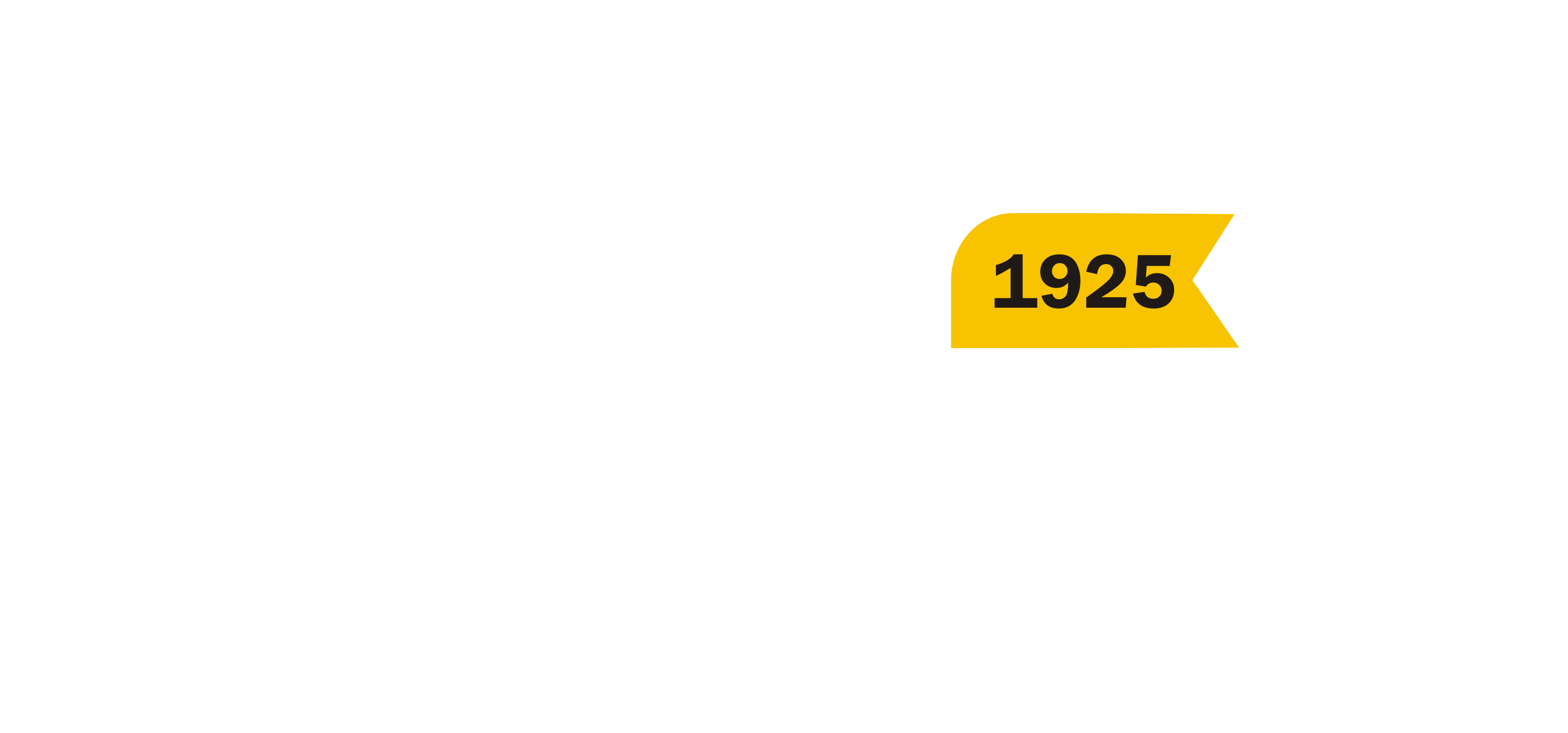 100 years of Valbruna
